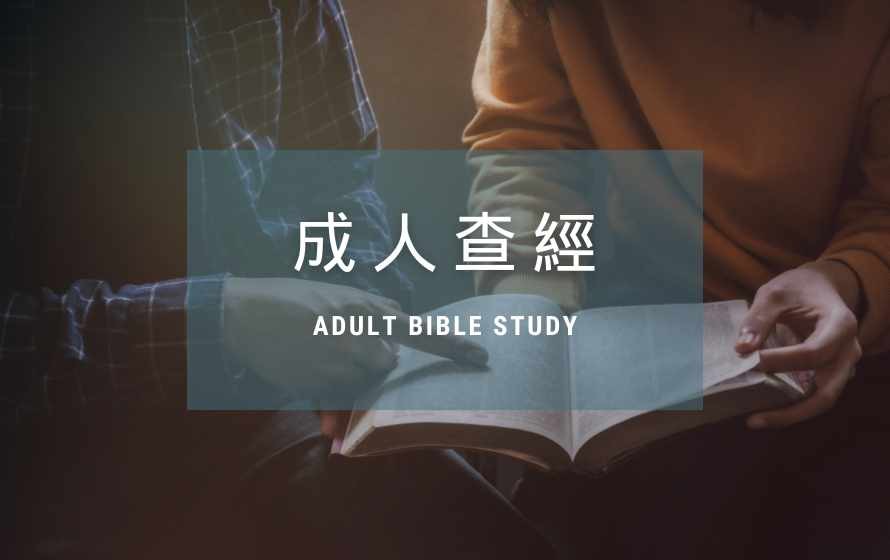 成人查经班 (普通话)